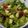 El cooksnap de Eduardo Gutiérrez cuando hizo Ensalada templada proteica.