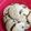 El cooksnap de Adriana Ruiz Gdo cuando hizo Galletas con chispas de chocolate.