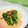 cheriejones's cooksnap of when they made Bok Choi with Garlic and Oyster Sauce.