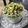 Shama Mangale's cooksnap of when they made मेथी, मूग डाळ, टोमॅटोची भाजी (Methi moongdal tomato bhaji recipe in marathi).