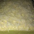 Cooksnap dari Malka's Mom Kitchen untuk resep Bolu Pandan Kukus