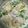 Keya Mandal's cooksnap of when they made দই বড়া (Doi bora recipe in Bengali).