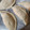 El cooksnap de veronica gonzalez cuando hizo Masa para tapas de empanadas.