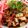 Cooksnap dari Nay's Kitchen untuk resep (35).Tahu guling (Jogja)