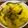 Cooksnap Susan Irwansyah semasa beliau membuat Ayam masak lemak cili api.