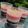 Cooksnap dari Kristin untuk resep Neopolitan puding