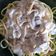 El cooksnap de Paula García cuando hizo Tagliatelle con salsa de champiñones a la carbonara.