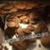 Cooksnap dari Alfi untuk resep Cookies coklat chocochips / GoodTime KW. Ga pake mixser
