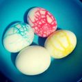 El cooksnap de Kat Rose Cordova cuando hizo Huevos duros de Dinosaurio🥚 🦕.