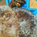 Vijayalakshmi Velayutham's cooksnap of when they made ரவா தோசை.