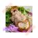 Cooksnap dari Yuna Githa untuk resep Mushroom sauce (saus steak)