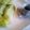 Agnes ndunge's cooksnap of when they made Lettuce rice wrap.