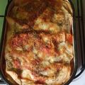 El cooksnap de Reina Godoy cuando hizo Lasagna fácil con pollo.