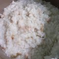 Cooksnap dari Nur Buana Pangastuti untuk resep Bubur ayam cina (Chinese porridge) rice cooker