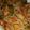 Naila Asif's cooksnap of when they made Masalaydaar noodle.