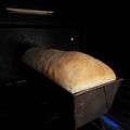 El cooksnap de Beto cuando hizo Pan de molde (cuban milk bread).