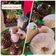 Cooksnap dari Sherly veronica untuk resep Donat Menul Empuk😋