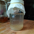 El cooksnap de Maica Gonzali Barriu cuando hizo Kéfir de agua -> Cómo hacerlo.
