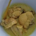 Cooksnap dari Rina Handayani untuk resep Opor ayam simpel