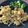 Cooksnap dari Wulan Yulianti untuk resep Easy Healthy Yummy Breakfast Idea (Eat Clean Series)