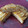 El cooksnap de juani Gernika cuando hizo Pastel de manzanas y galletas.
