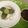 Princess Amrah's cooksnap of when they made Vegetable soup with white rice.