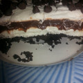 christyhenckcamen's cooksnap of when they made chocolate lasagna.