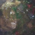 Cooksnap dari RonaCute untuk resep Pindang ikan patin Mpasi anak