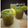 Swati Bharadwaj's cooksnap of when they made পুদিনার সরবত(pudinar sharbat recipe in Bengali).
