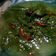 Cooksnap dari Yasintha Titis Nahak untuk resep Sayur Daun Singkong Koe ...