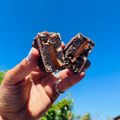 El cooksnap de Karen Machado cuando hizo Alfajores de salchichón de chocolate.