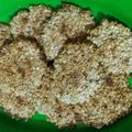 El cooksnap de Romina De Ruiz cuando hizo Galletas de avena, miel y bananas.