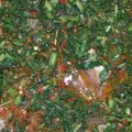 Linda Oja's cooksnap of when they made Spinach stew.