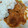 El cooksnap de Deborah cuando hizo Conejo en salsa de manzana.