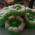 Cooksnap dari Dapoer Wida untuk resep Putri Ayu Putih Telur SUPER IRITTT MENULL ENAKKK