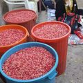 صورة من Kani Bagzada، شاركها بعد تجربة وصفة سلطة الفواكة بالرمان و عصير المانجو 🍏🍒🍌