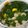 Cooksnap dari Newbie.Cooking untuk resep Sayur bening bayam jagung