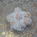 Cooksnap dari novie untuk resep Klepon Labu Kuning