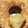 Cooksnap dari nurjanah rhomadon untuk resep Banana Cake Lembut Harum