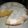 El cooksnap de Andrea Vilegas cuando hizo Torta de mandarina.