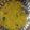 vandana r thakkar's cooksnap of when they made પૌવા (Poha Recipe In Gujarati).