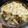 kplissonneau's cooksnap of when they made Cauliflower Pasta Bake.