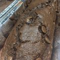 El cooksnap de lulap cuando hizo Budín de chocolate (sin manteca).