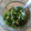 El cooksnap de Bibi García cuando hizo Chimichurri.