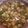 El cooksnap de Celia Sellares cuando hizo Estofado de patatas y pimiento verde.