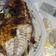 Cooksnap dari Kheisa Kaemong untuk resep Ikan kuwe bakar