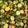 Michael Baum's cooksnap of when they made Bacon Roasted Brussel Sprouts.