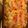 Chef Ty 's cooksnap of when they made Tater tot tacos bake.