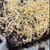 Cooksnap dari Alifah Bin Yahya untuk resep Brownies panggang - fudgy shiny brownies