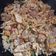 Cooksnap dari Neni Tari untuk resep Macaroni Tumis